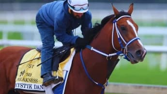 Rerum aliquid ut similique natus impedit.