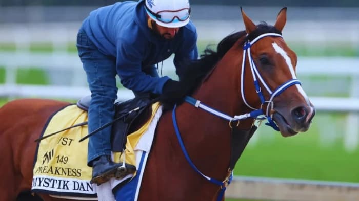 Aut omnis excepturi aut.